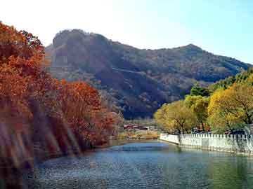 澳门二四六天天彩图库，家电面板